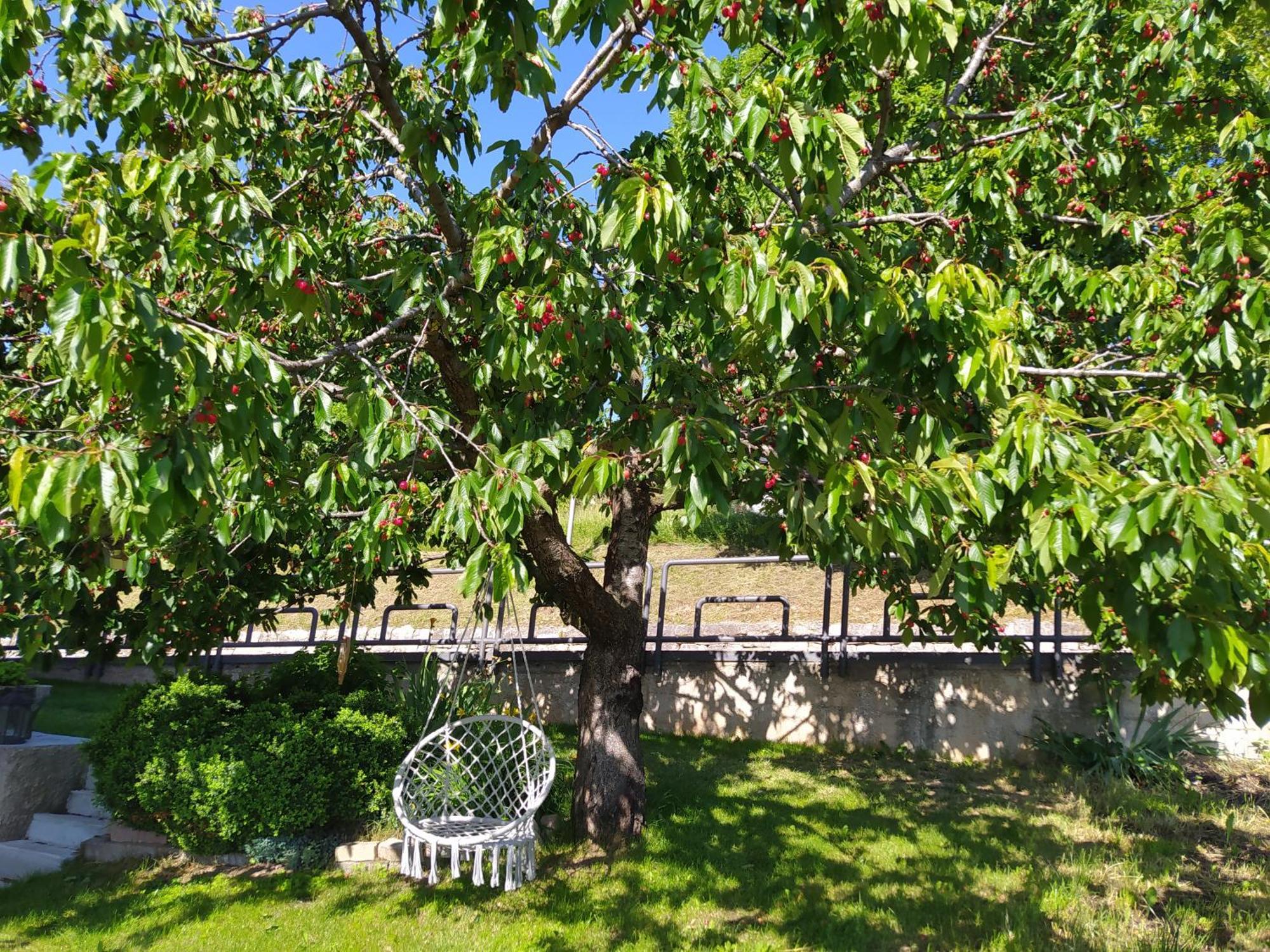 Casa Zucol Apartment Sarnonico Bagian luar foto